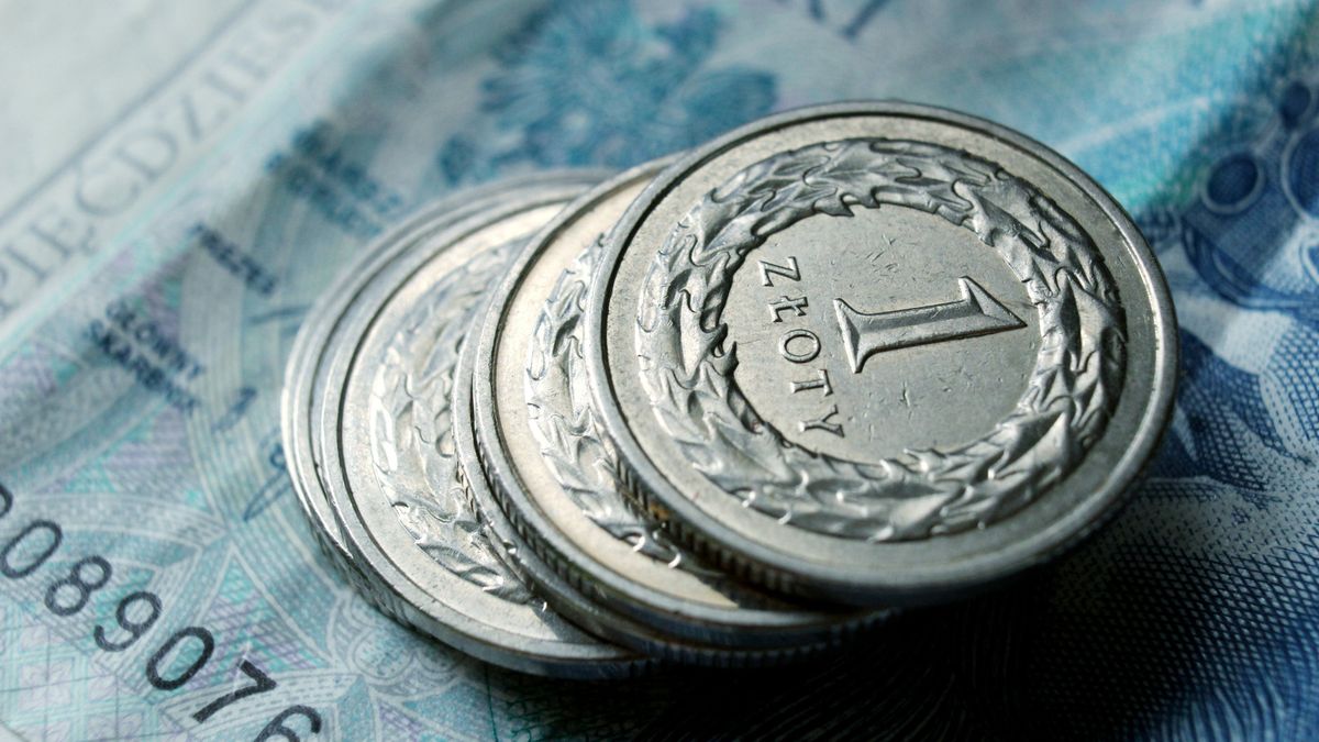 Zdjęcie ilustracyjne.