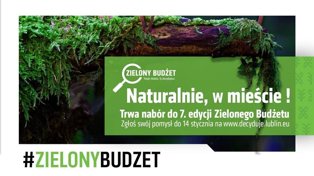 grafika zielony budżet