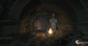 Divinity 2 - trailer, galeria i opóźnienie na 360
