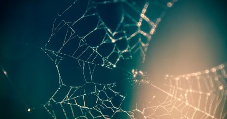 NetCrunch Tools – darmowy niezbędnik do diagnozowania sieci