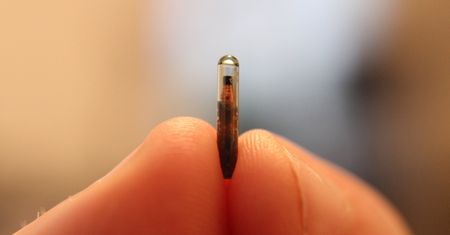 32M zaczipuje swoich pracowników: RFID pod skórą zamiast na karcie