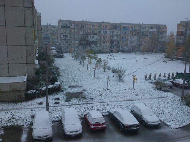 Obraz