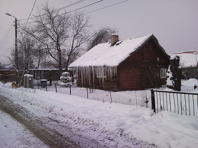 Obraz