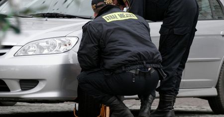 Straż miejska zajmuje się głównie kierowcami