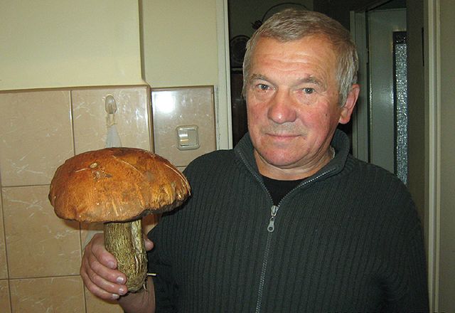 Obraz