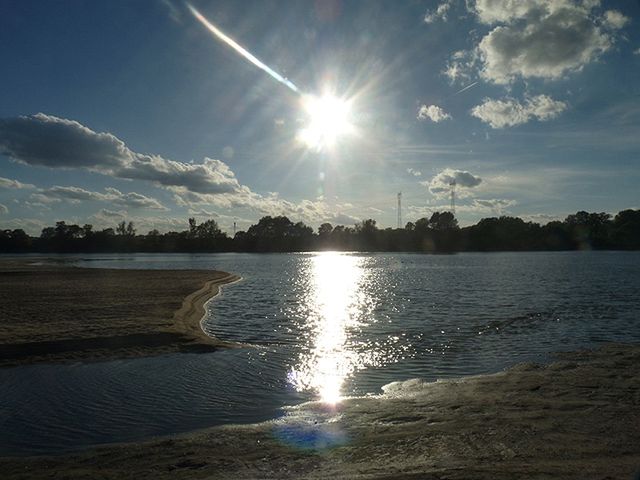 Obraz