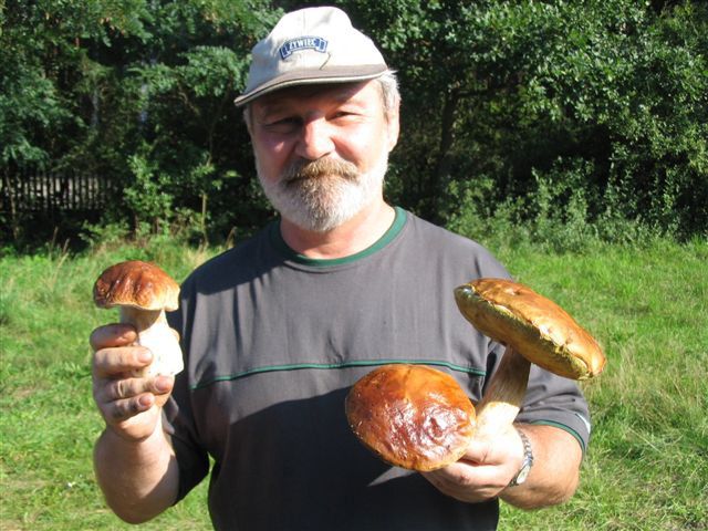 Obraz