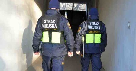 Nowe uprawnienia strażników miejskich. Będzie więcej mandatów