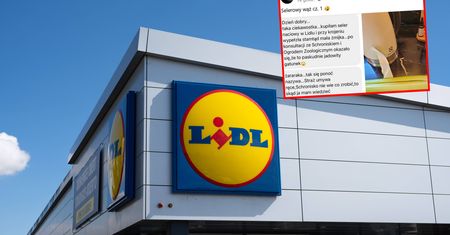 Kupiła seler w Lidlu. W domu przeżyła chwile grozy