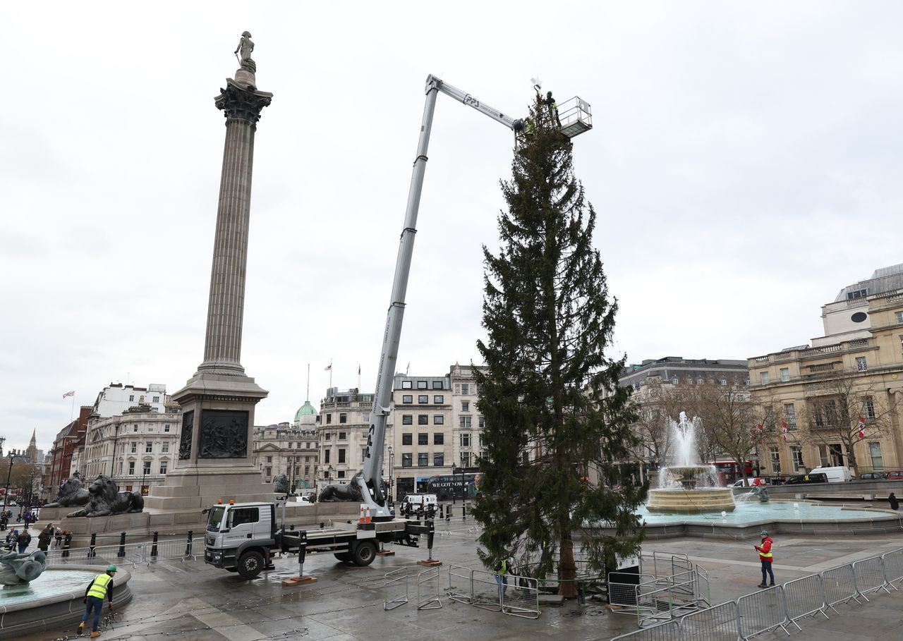 Choinka na Trafalgar Square 