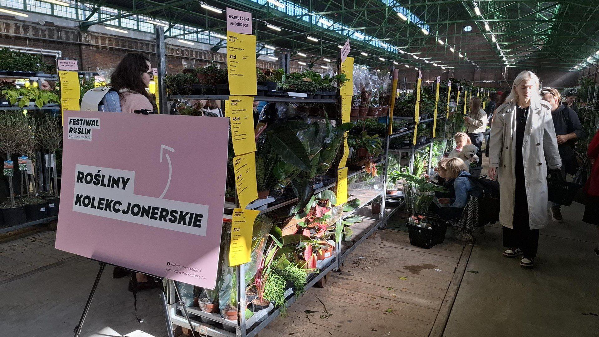 Festiwal Roślin w Czasoprzestrzeni we Wrocławiu