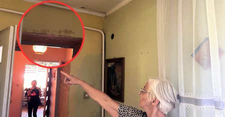 Woda zbiera się na ścianach. Twierdzą, że są ofiarami przekopu Mierzei