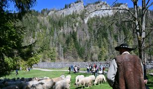 Wzięli kasę za kurs, nie przyszli do pracy. Skandal na Podhalu