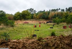 Atak psów pod Zieloną Górą. Zarzuty dla właściciela