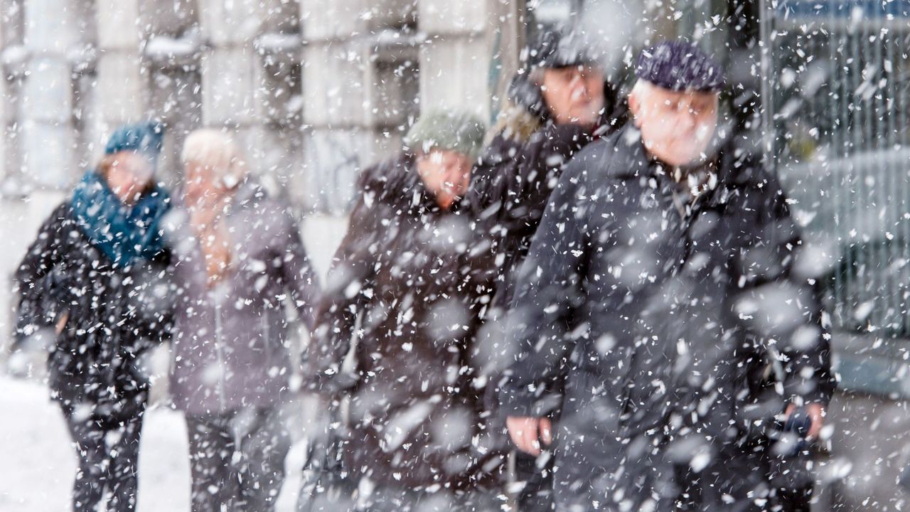 Królestwo za śnieżną zimę