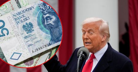 Wojna celna a kursy walut. Jak zareagował złoty?