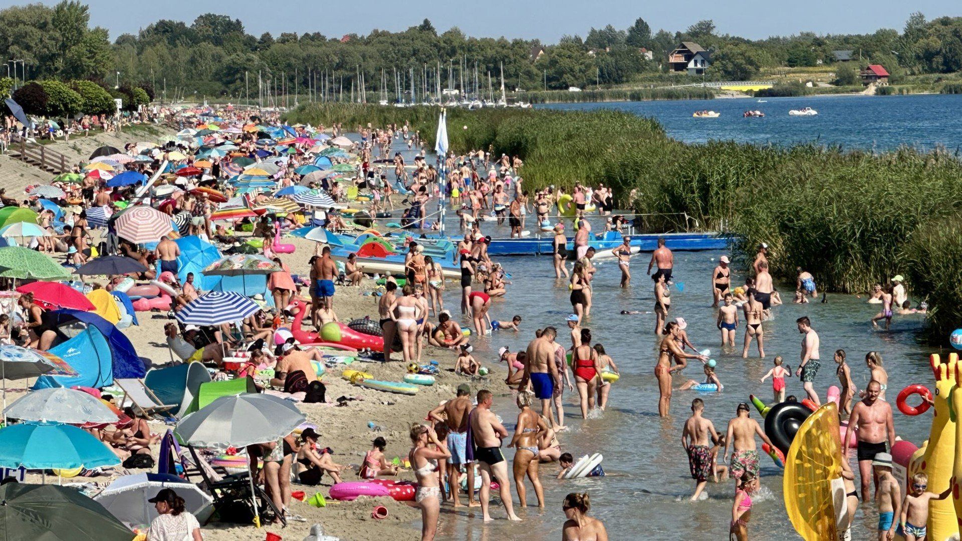 Wypoczynek nad Jeziorem Tarnobrzeskim w środę, 13 sierpnia