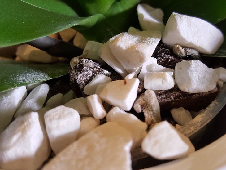 Samsung Galaxy S7 - przykładowe zdjęcia i szybkie porównanie z Galaxy S6 27