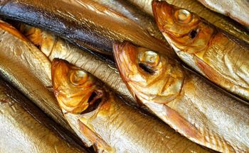 W Niemczech hit, w Polsce mało kto je. Jedna z najzdrowszych ryb