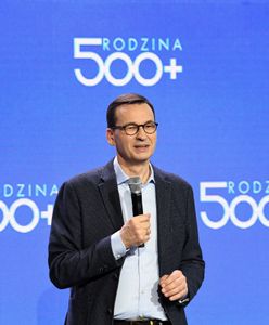 PiS się ugnie? Tego chcą Polacy, mamy nowy sondaż