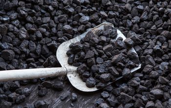 Tak Polacy teraz kupują węgiel. "Biorą cztery worki na tydzień"