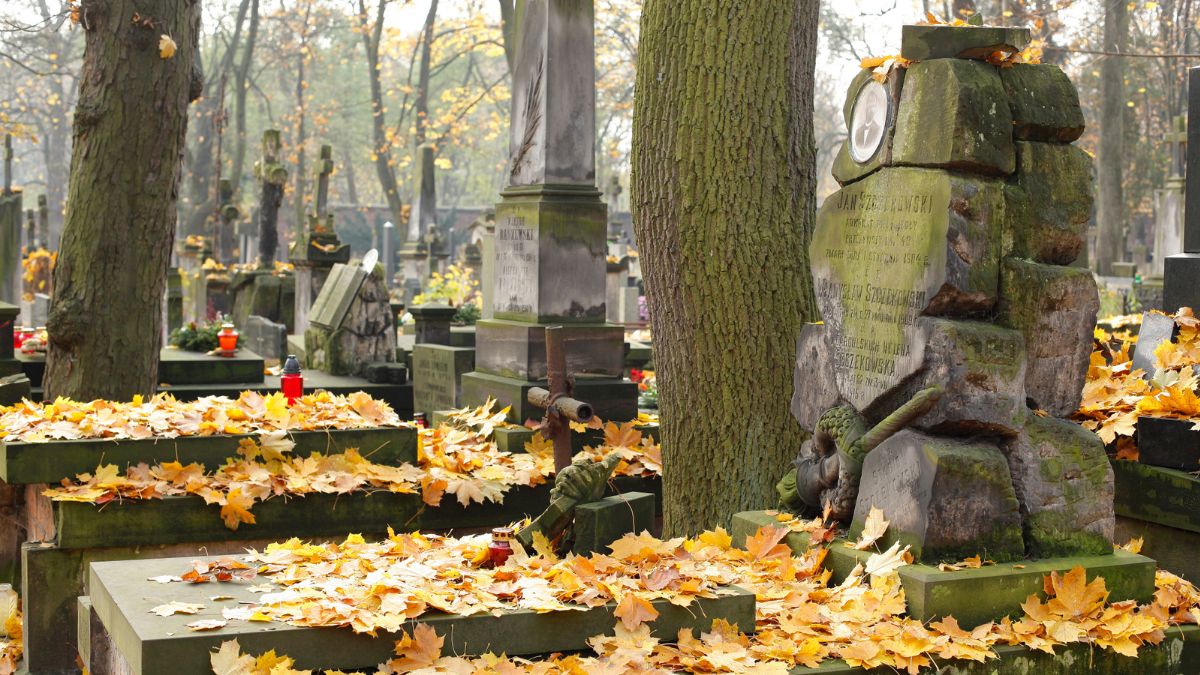 Zapomniane groby gwiazd z czasów PRL