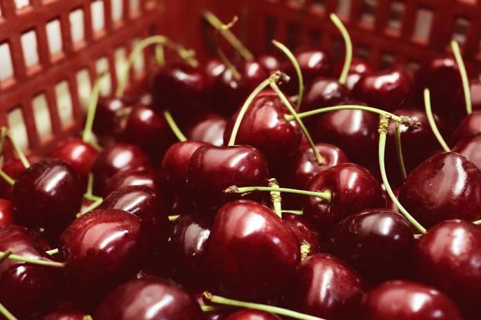 Łubnice: Oszust okradł sadownika. Czereśnie zabrał, pieniędzy nie dał