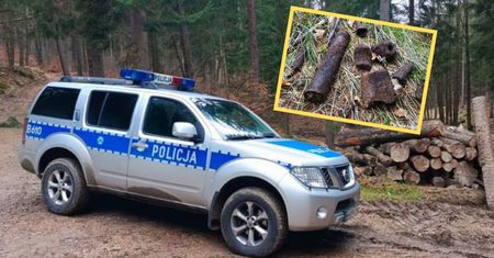 Groźne znalezisko w Piechowicach. Policja radzi, jak reagować