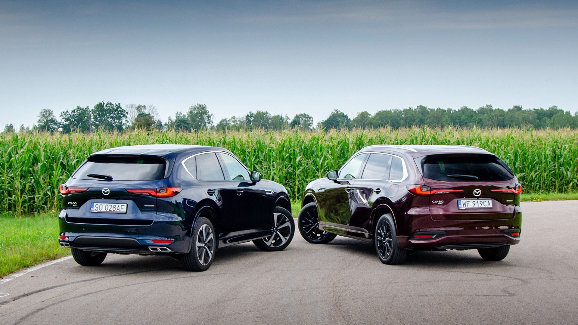 Mazda CX-60 vs. Mazda CX-80