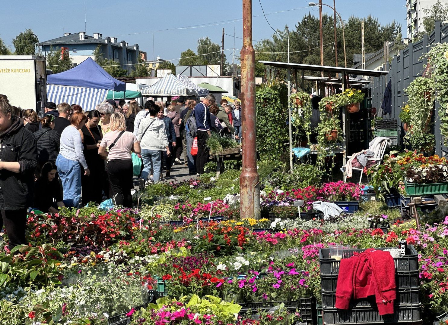 21.05.2025 Tarnobrzeg, targowisko miejskie