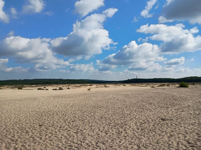 Co warto wiedzieć? Wypad nad Pustynię Błędowską