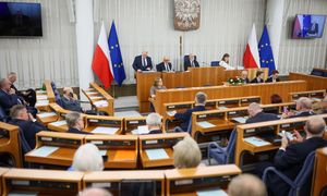 Reforma PIP przyjęta w Senacie. Idzie do prezydenta. Inspekcja zyska nowe narzędzia