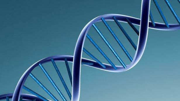 Śmierć kontra big data. Co przyniesie sojusz Google’a, Apple’a i przemysłu farmaceutycznego? 1