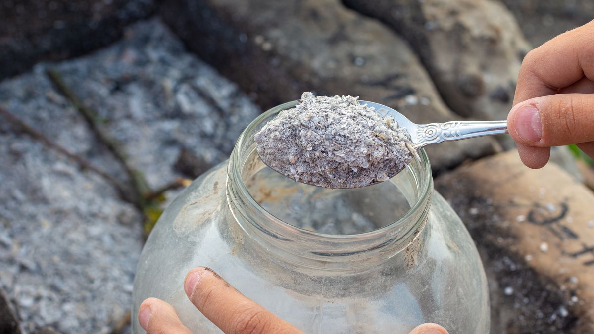 Czy można używać popiołu jako nawóz do roślin?