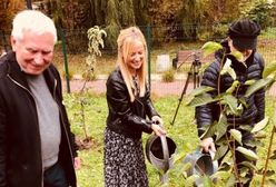 Sosnowiec. Krzysztof Materna odwiedził rodzinne miasto i zasadził wiśnię