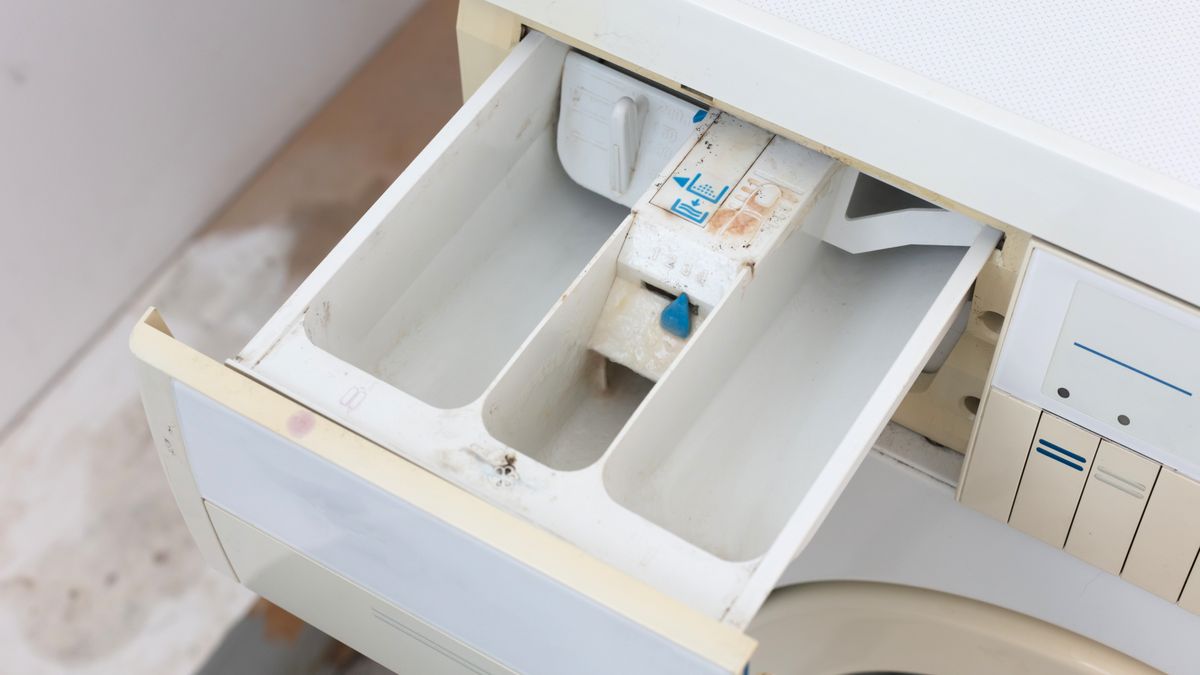 Old dirty washing machine close-up, selective focus, detergent drawer
Micha Klootwijk
attic, clean, cleaning, cleanliness, clipping, clothing, concept, cycle, detergent, detergent drawer, dimensional, dirt, dirtiness, dirty, domestic, drawer, dry, equipment, filth, filthy, flushing, front, home, homework, household, housekeeping, machine, soap, tray, washing, washing machine, white, attic, clean, cleaning, cleanliness, clipping, clothing, concept, cycle, detergent, detergent drawer, dimensional, dirt, dirtiness, dirty, domestic, drawer, dry, equipment, filth, filthy, flushing, front, home, homework, household, housekeeping, machine, soap, tray, washing, washing machine, white