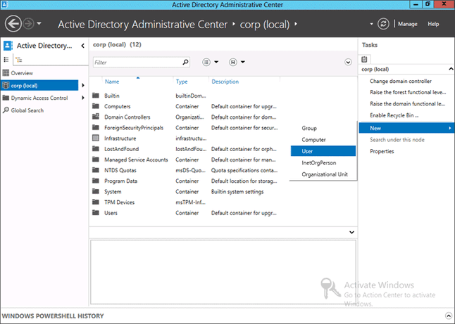 Pierwszy przykład z dokumentacji Active Directory. Jak się nazywa domena...?