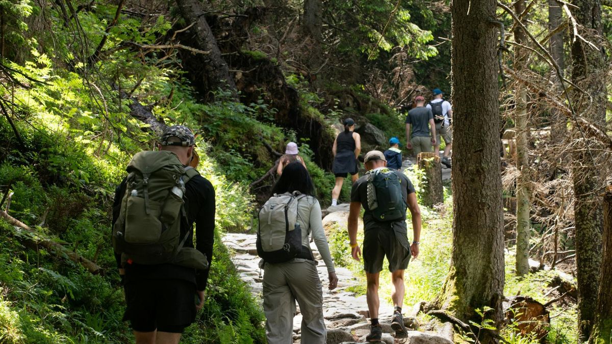 Kobieta skręciła kostkę na szlaku [zdj. ilustracyjne]  