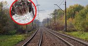 Remont torów na Dolnym Śląsku wstrzymany. Oto, co znaleźli