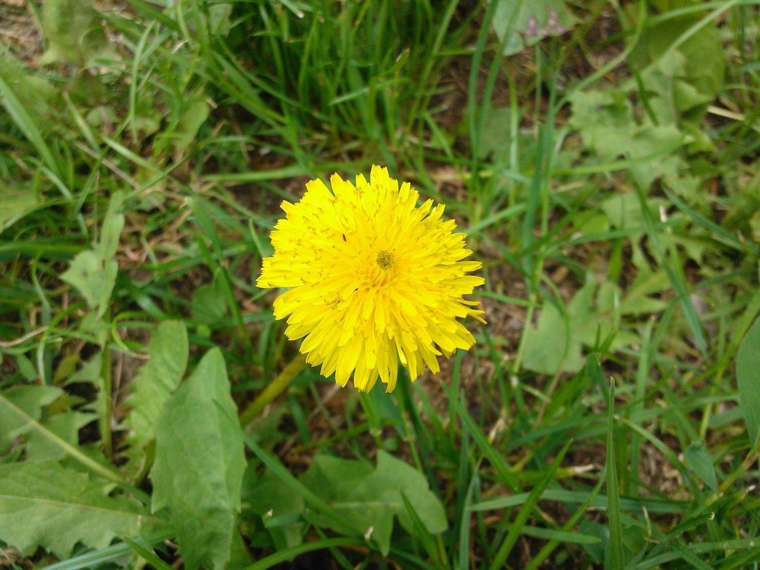 Nokia Lumia 900 - szkoda, że tak późno... [test] 27