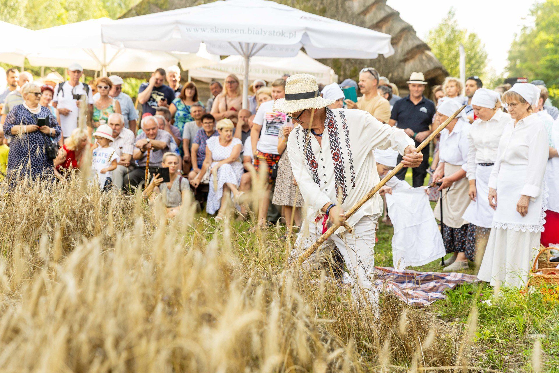Żniwa w Skansenie