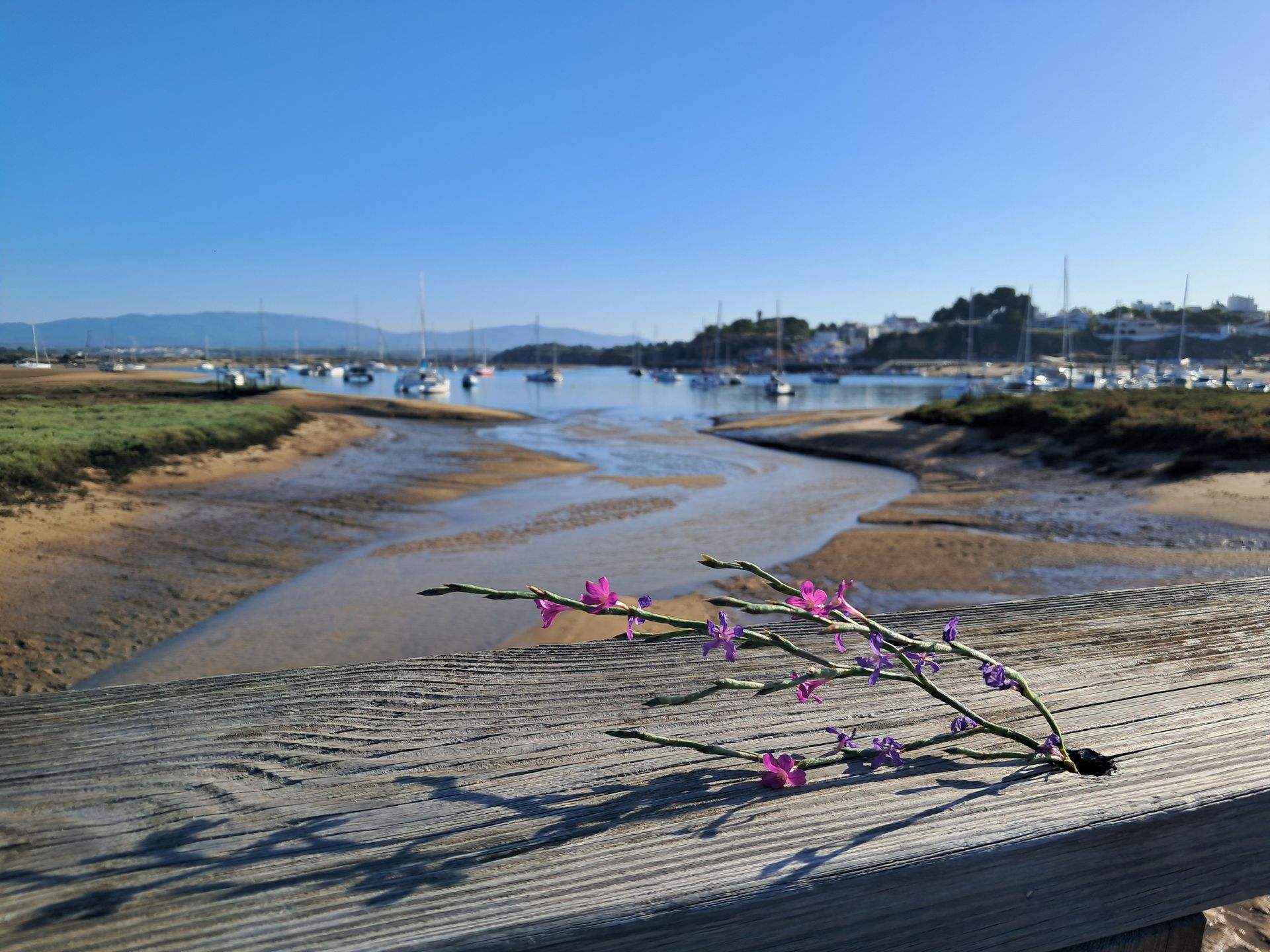 Szlak  Ria de Alvor prowadzi przez wydmy, równiny i słone bagna
