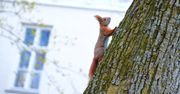 Pierwsze oznaki wiosny można podziwiać w Ogrodzie Zmysłów w Poddębicach. Natura budzi się do życia i zaprasza na spacer