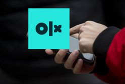 Tak dzisiaj oszukuje się na OLX i Allegro. Skala procederu rośnie