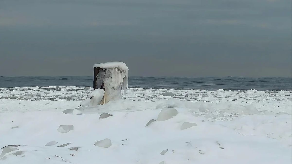 eta plaża w Jantarze | NaMierzeje.pl