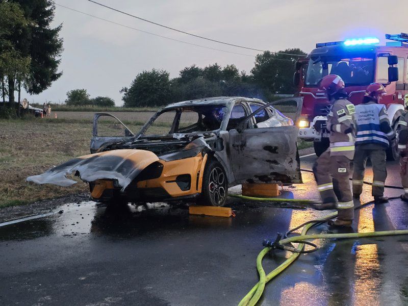 Elektryczny Mustang stanął w płomieniach. Auto spłonęło doszczęt