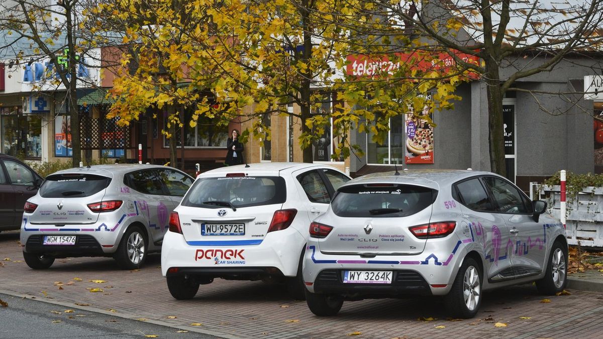 Oferta aut do wynajęcia jest coraz większa