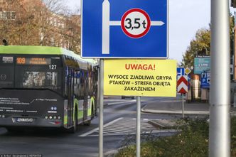 Epidemia uderza w polski drób i gospodarkę. KE negocjuje z rządem restrykcje