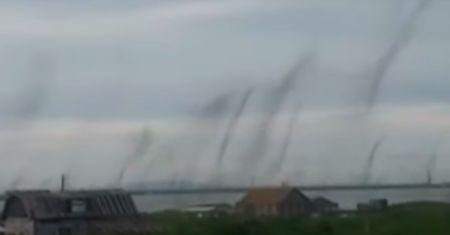 Rosja. Plaga komarów na Kamczatce. Owady tworzą "tornada"
