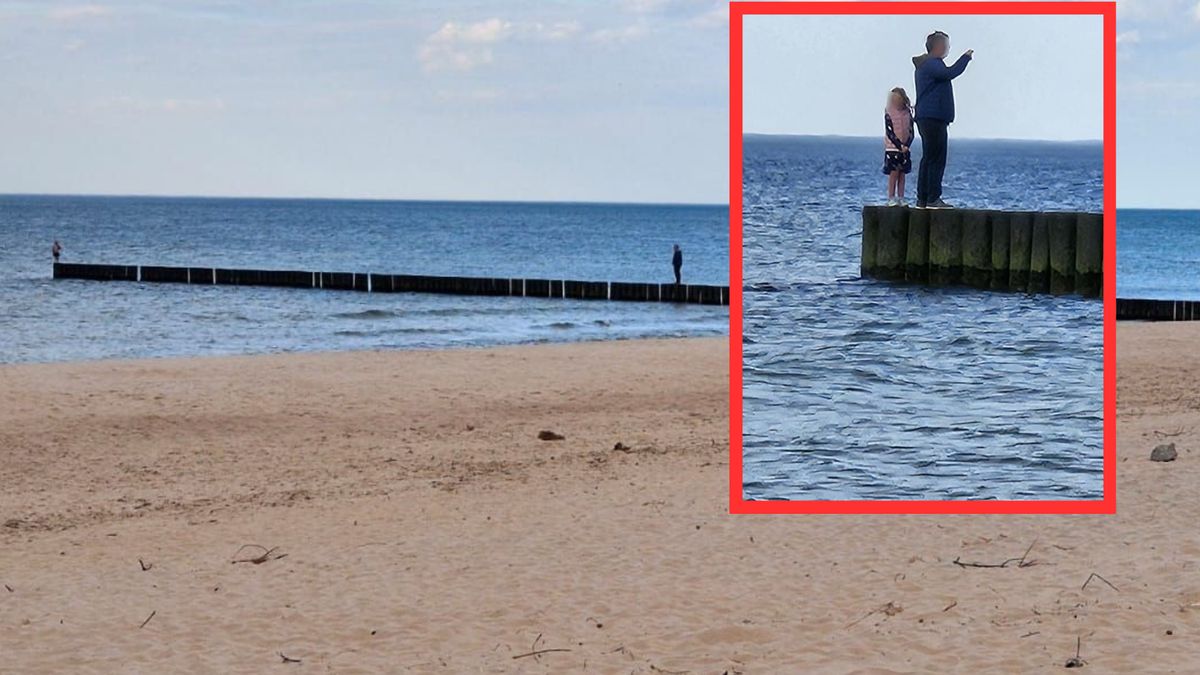 Zdjęcia dziewczynki z opiekunem dosłownie mrożą krew w żyłach